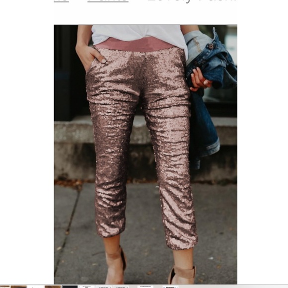 Brand New MidWaist Rose Gold Polyester Pants Jrs S - Picture 4 of 8